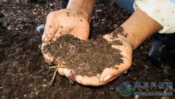 每20噸不值錢的濕垃圾，可以轉換成1噸售價在1萬多元的蚯蚓活體